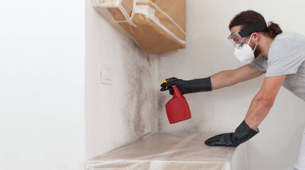 Professional Bathroom Mold Removal technician working in Pentwater, MI
